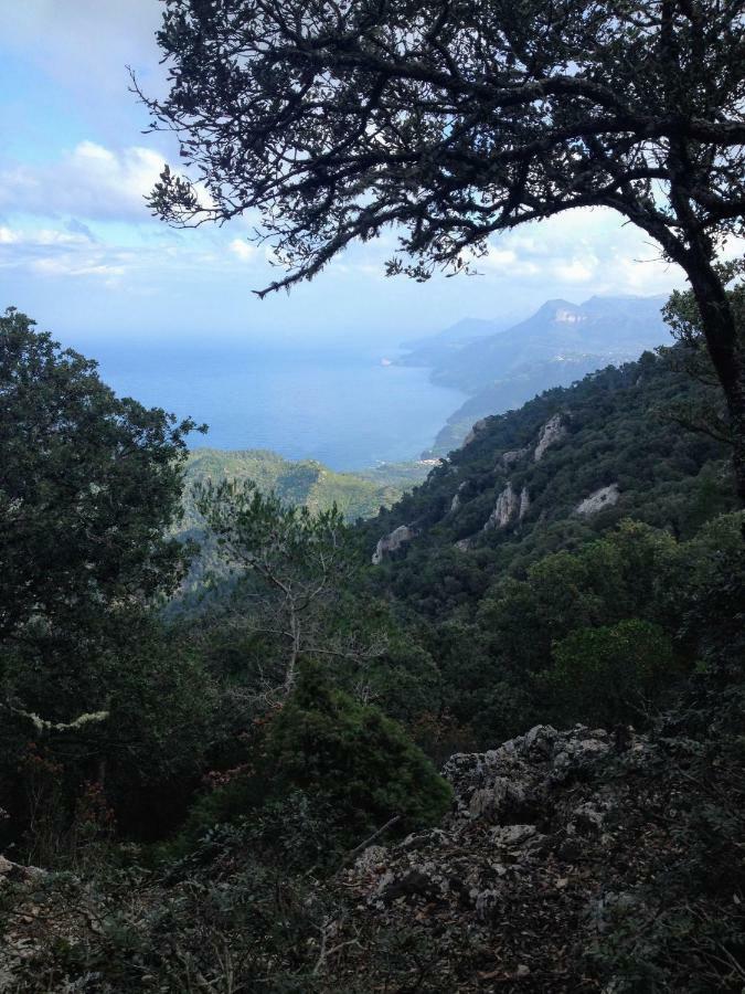 Home In Tramuntana Port des Canonge エクステリア 写真
